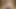 AI Uncensored Hentai and 3D Fantasy Babes #7