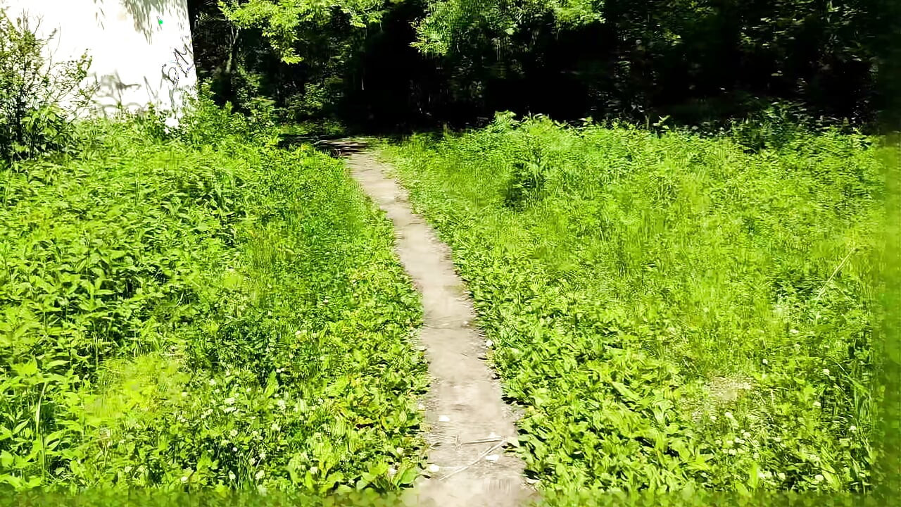 Jogging without pants in a forest park. Old video