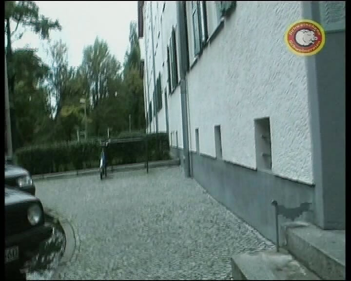 Behind German Doors Is Fucked Diligently - Full Movie
