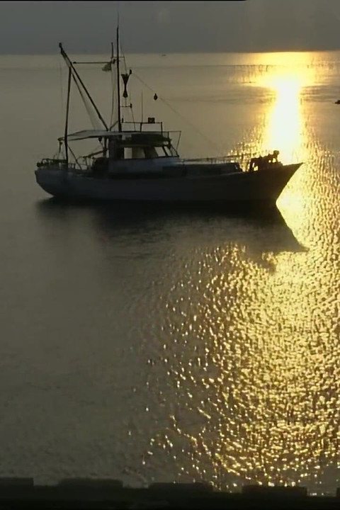 Horny Brunette Suck a Big Cock of His Friend Before She Get Fuck