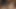 Pov Threesome Blowjob And Cum Swallow