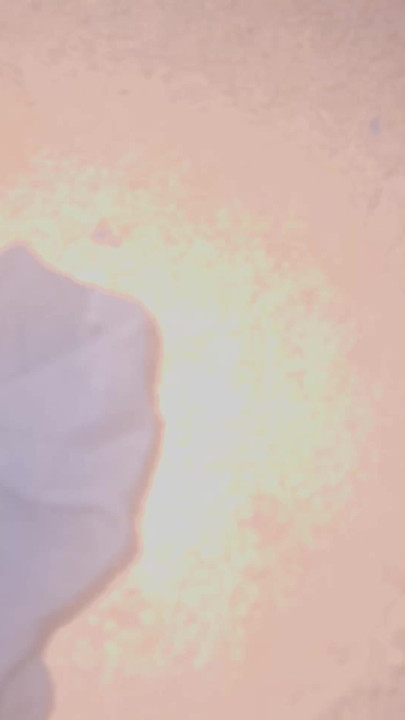 Intro