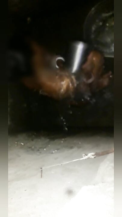 Grandes libros india caliente video