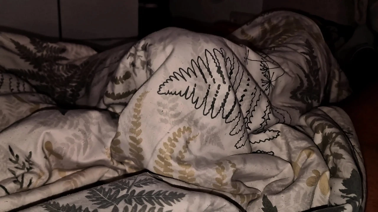 Sharing a bed with my virgin stepbrother has not been a good idea, I end up playing with his hard cock under the covers and rubbing it on