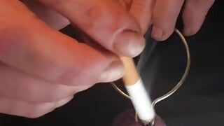 Tête de bite avec cigarettes ose