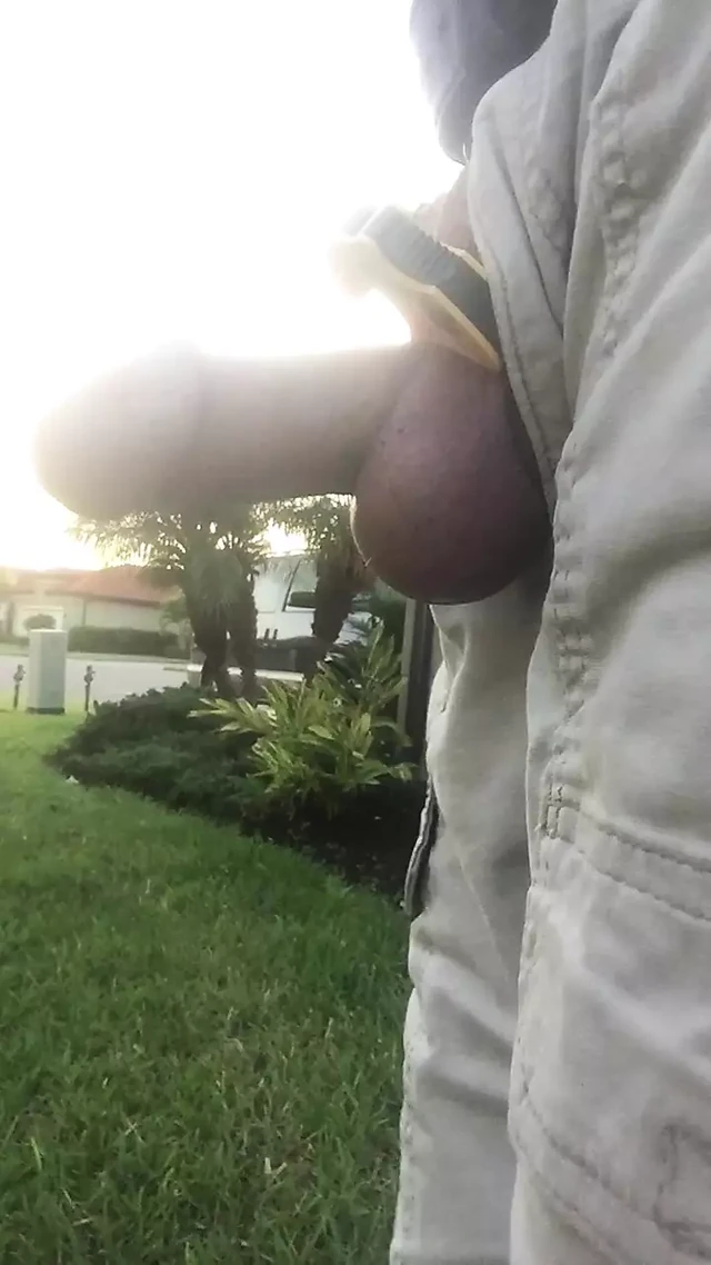 A Walk Outside With My Penis In A Cable Clamp
