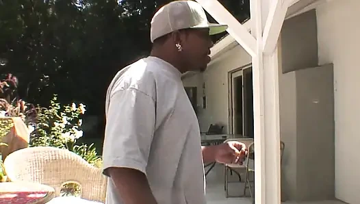 The Fox Eats It All (part 2)