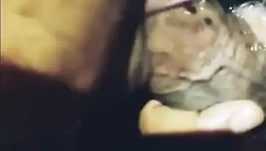 Водопады глотки