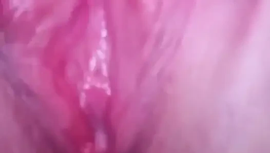 Мокрая кошечка