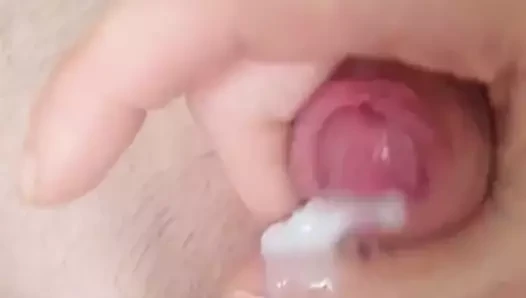ben cumming