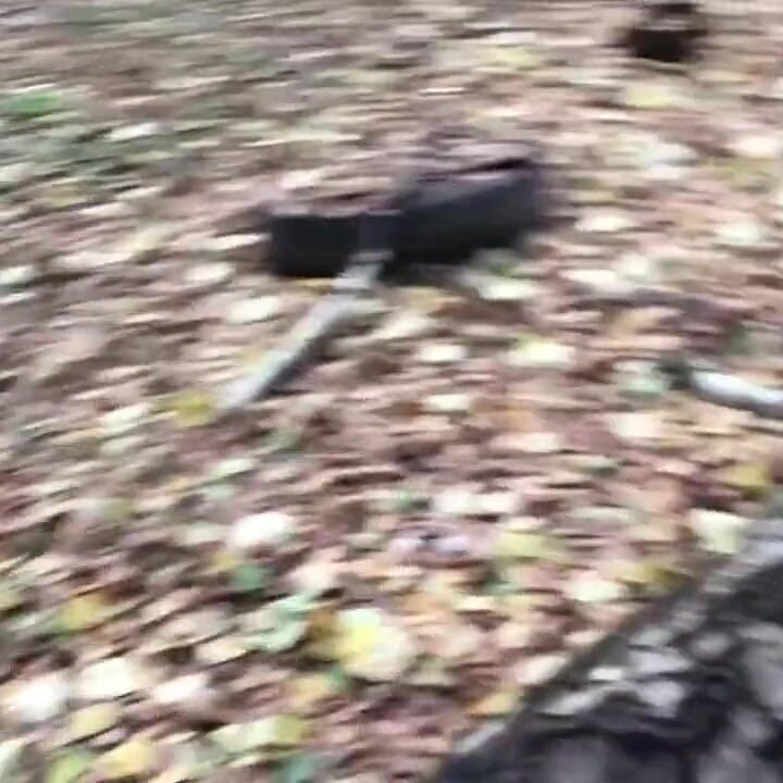 Blonde in the Forest Fucks Standing up with a Stranger on Camera