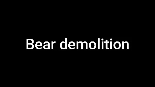 Bear Demolition