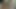 Punjabi Indian young couple fucking like crazy