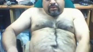 Peludo no papá oso masturbándose en la oficina