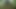 Desi indian farmer boy masturbation.