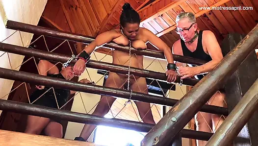 Domina Herrin april - bestrafung nur zum spaß, rose 4
