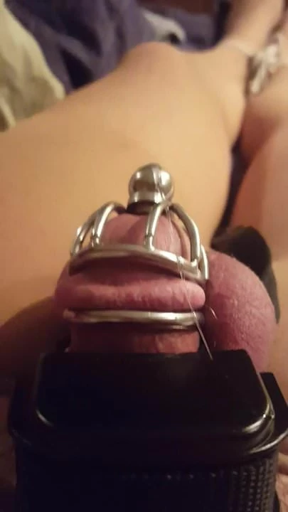 对笼中鸡巴的电击惩罚