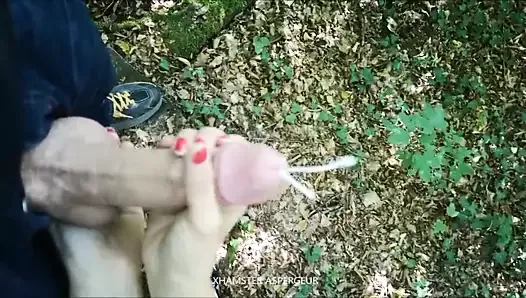 Ręczna robota wytryski w lesie