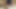 REALLY HOT Trans Women Fucking Doggystyle