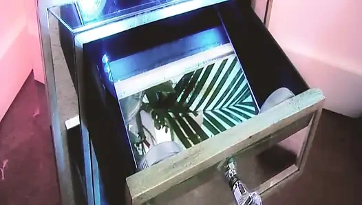 Lesbische heiße MILfs szene-2_gorgeous vollbusige blonde lesben ficken mit einem Doppeldildo bis zum orgasmus