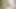 bağbozumu retro alman amatör senin günlük doz bu porno