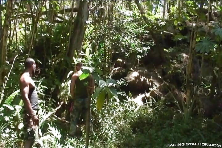 Lords of the Jungle