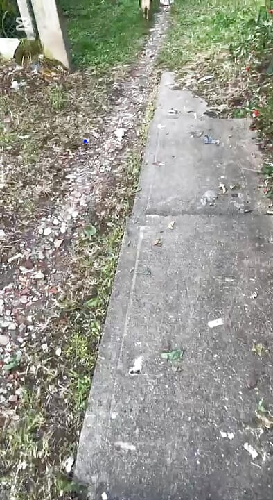 เขาดูดมันอร่อยมาก