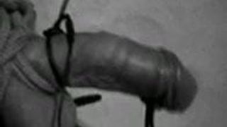 Tied cock electro torture