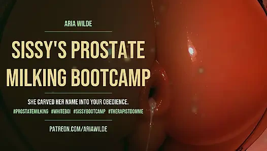 Sissys prostata melkt bootcamp