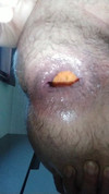 Pregled videozapisa