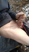 Pregled videozapisa