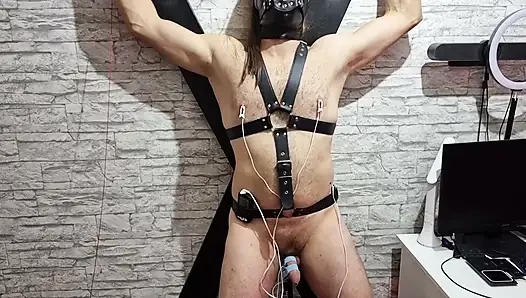Electro Sounding Urethra Stretch - Kontol Berdenyut di Bondage Agony