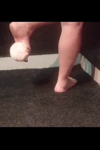Mel Play with Pet 1