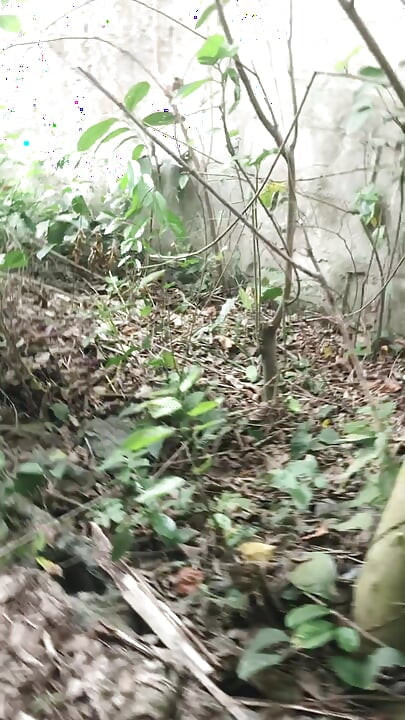 Stepbrother to Step Brother Outdoor Sex