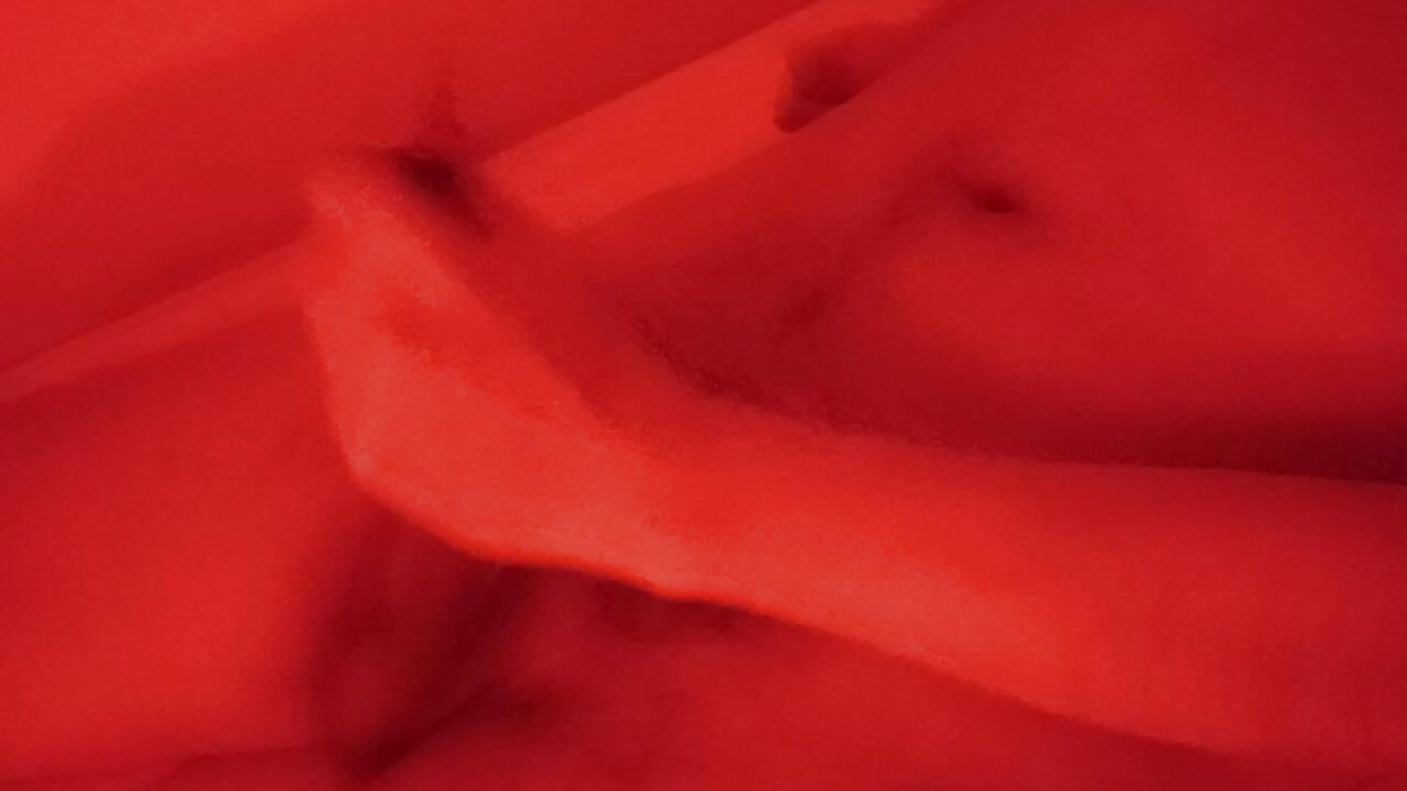 Dan za zagrijavanje mlijeka 1295