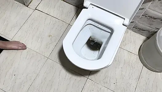 Mısırlı genç adam Suudi karısını sikmeden önce idrar yapıyor