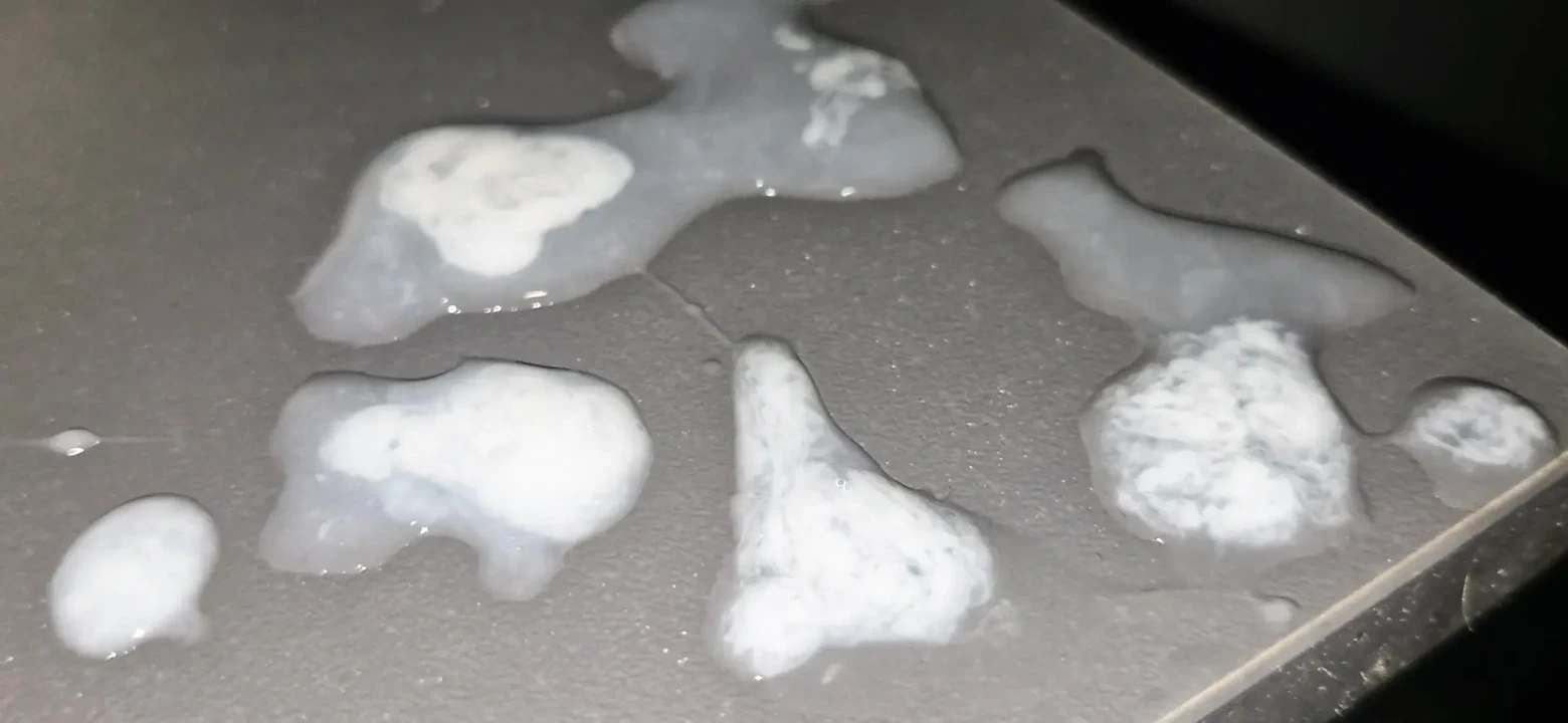 Cum in the Glory Hole, Big Dicks of Guys Spewing Creampie on the Toilet Walls, Go Lick It