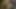 Dickgirls Pink and Yellow Fuck a Girl