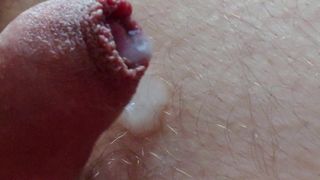 Foreskin precum and cum