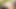 Beste Szenen mit atemberaubender natürlicher Schönheit, Abella Danger