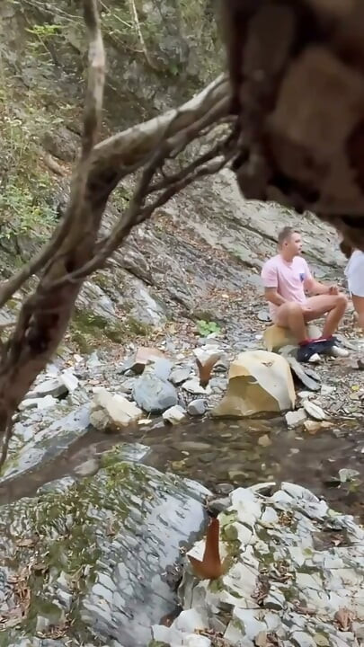 Fucked in the Woods
