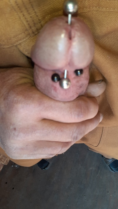 Show-off hot pierced penis