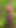 Granny Bambi: Cocksucking Forest Slut