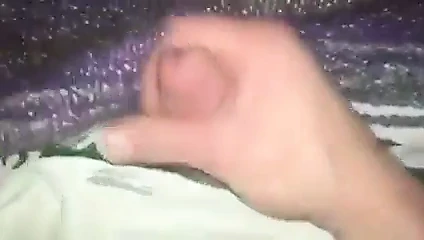 Bolca döl