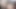 Tombul Lezbiyenler Cameron Skye ve Leila Lewis Çift Uçlu Dildo Deneyin