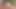 Heißes paar hat sex im morgengrauen zum klang von vögeln.