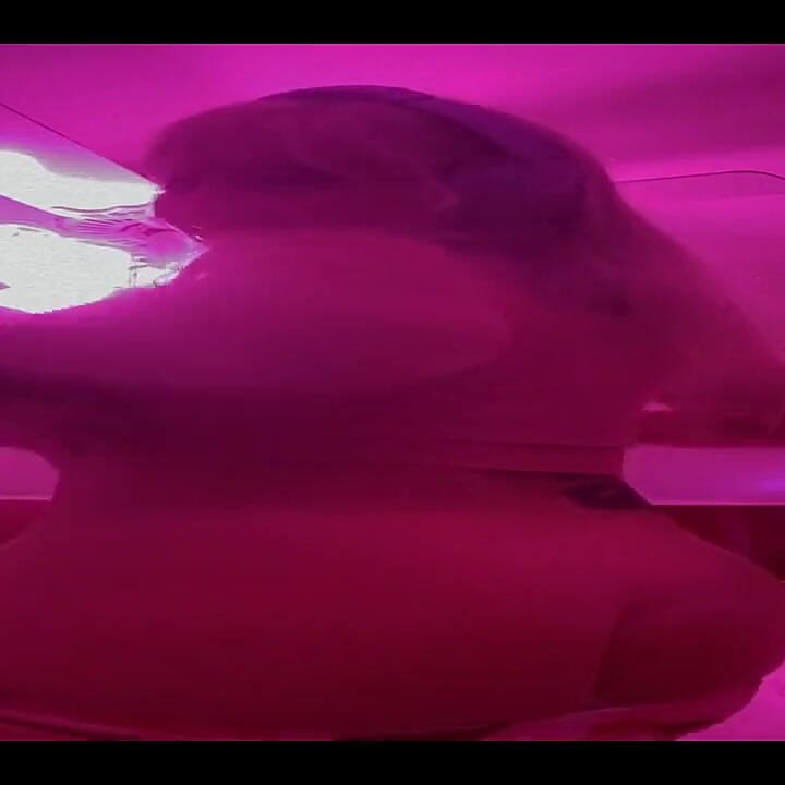 달콤한 젖은 꿈