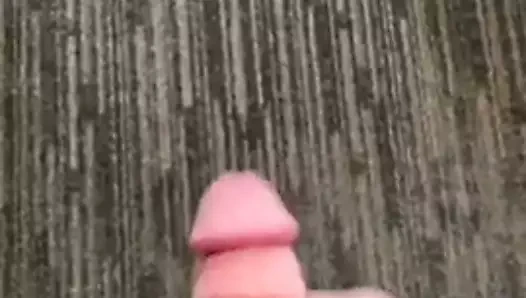 Playing in the office