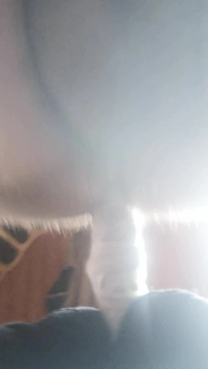 My anal orgasm