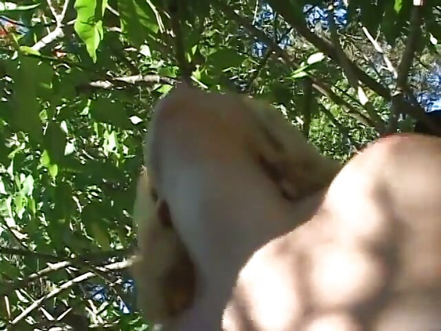 Bi dude enjoys getting fucked with a huge pole and a dildo
